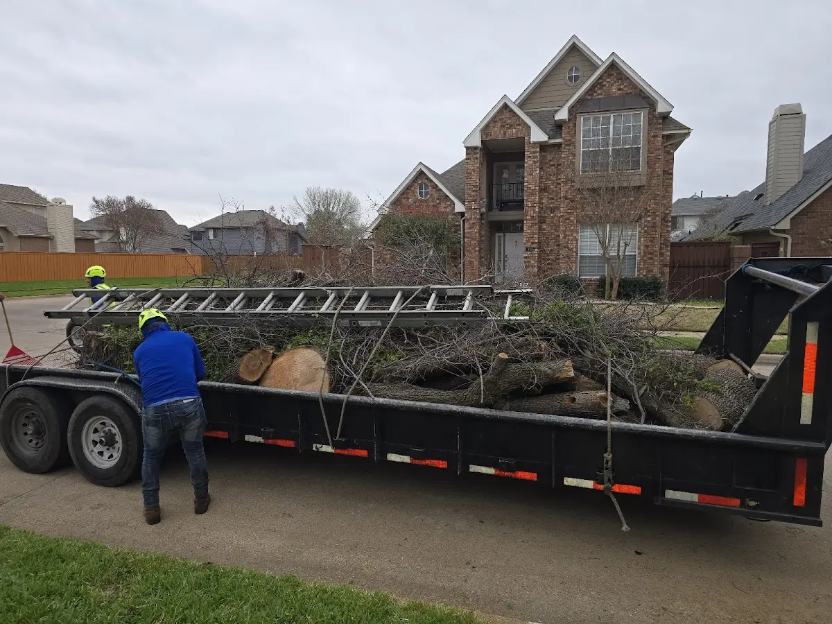 Expert Tree Fertilization with proper safety equipment in Combs